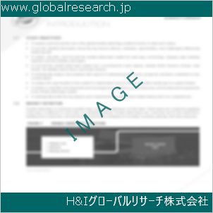 グローバルリサーチ調査資料のイメージ